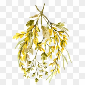Fall Watercolor Leaves Png, Transparent Png - leaf png