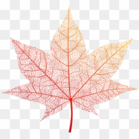 Transparent Autumn Leaf Png, Png Download - leaf png