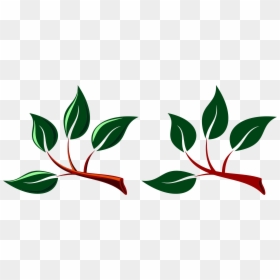Branches With Leaves Clipart, HD Png Download - leaf png