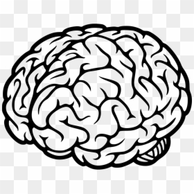 Brain Icon Transparent Background, HD Png Download - brain png