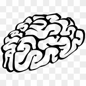 Cartoon Brain Black And White, HD Png Download - brain png