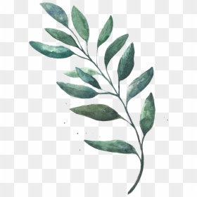 Watercolor Leaves Png Free, Transparent Png - leaf png