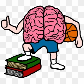 Basketball Brain Clipart, HD Png Download - brain png