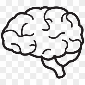 Transparent Brain Clipart Black And White, HD Png Download - brain png