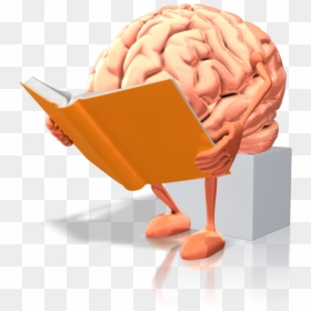 Brain Reading Book, HD Png Download - brain png