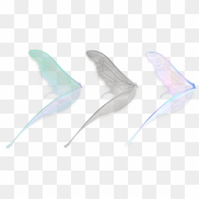 Side Fairy Wings Png, Transparent Png - wings png