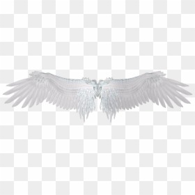 Transparent Angel Silhouette, HD Png Download - wings png
