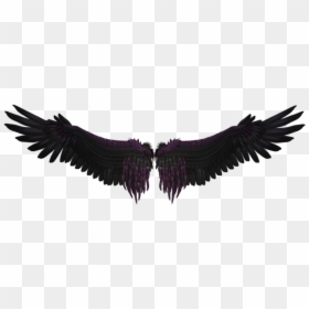 Black Wings Png, Transparent Png - wings png