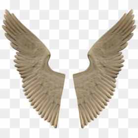 Stone Angel Wings, HD Png Download - wings png