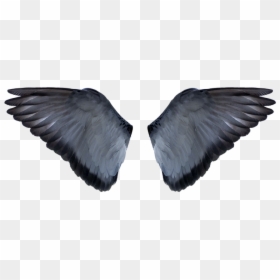 Portable Network Graphics, HD Png Download - wings png