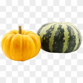 Pumpkin And Squash Transparent, HD Png Download - pumpkin png