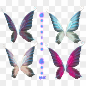 Fairy Wing Vector Png, Transparent Png - wings png
