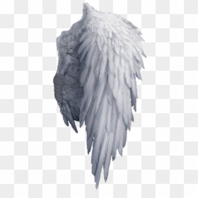 Transparent Background Angel Wings Png, Png Download - wings png