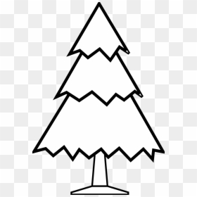 Simple Line Drawings Of Trees, HD Png Download - christmas lights png
