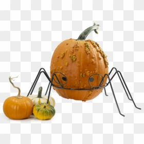 Pumpkin, HD Png Download - pumpkin png