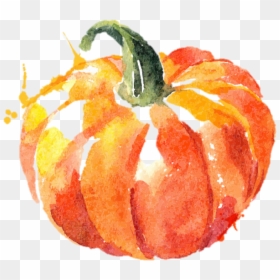 Watercolor Pumpkin, HD Png Download - pumpkin png