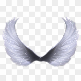 Angel Wings Png, Transparent Png - angel wings png