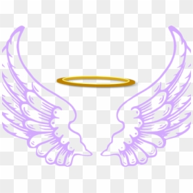 Angel Wings Halo Png, Transparent Png - angel wings png