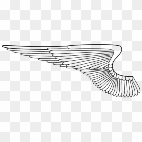 Clip Art Wings Transparent Background, HD Png Download - angel wings png