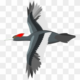 Transparent Bird Vector Png, Png Download - bird png