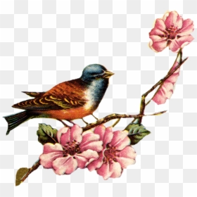 Vintage Birds And Flowers, HD Png Download - bird png
