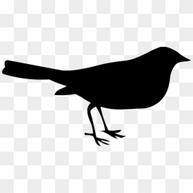 Bird Silhouette, HD Png Download - bird png