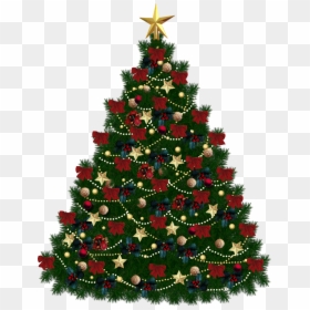 Christmas Tree With Clear Background, HD Png Download - trees png