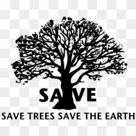 Save Tree Png Black, Transparent Png - trees png