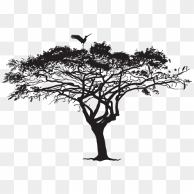 Tree Silhouette Png, Transparent Png - bird png