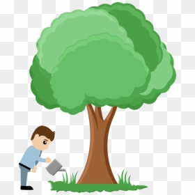 Save Tree Save Water, HD Png Download - trees png