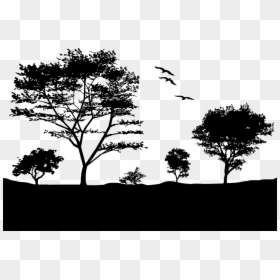 Nature Vector Black And White, HD Png Download - trees png