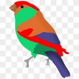 Colorful Bird Clipart, HD Png Download - bird png