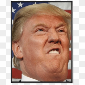 Donald Trump Face, HD Png Download - trump png