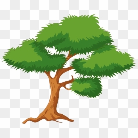 Transparent Background Cartoon Tree Png, Png Download - trees png
