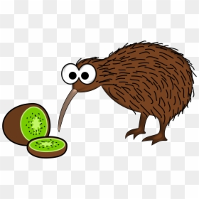 New Zealand Kiwi Bird Cartoon, HD Png Download - bird png