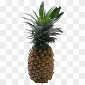 Pineapple Picture Without Background, HD Png Download - pineapple png