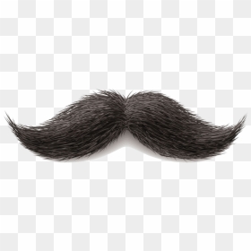 Grey Mustache Png, Transparent Png - mustache png