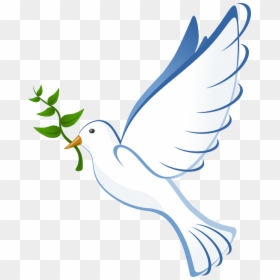 Holy Spirit, HD Png Download - dove png