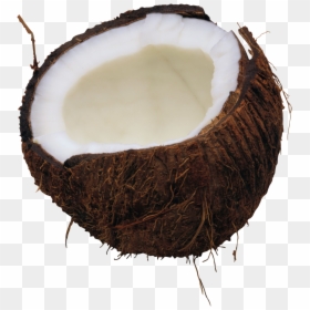 Coconut Png, Transparent Png - coconut png