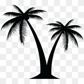 Palm Tree Vector Png, Transparent Png - coconut png