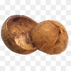 Coconut Shell Png, Transparent Png - coconut png