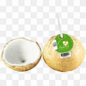 Baked Goods, HD Png Download - coconut png