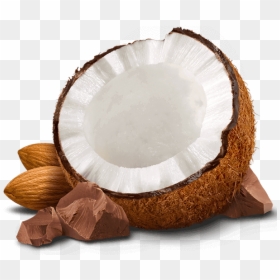 Chocolate With Coconut Png, Transparent Png - coconut png