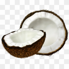 Coconut Transparent Png, Png Download - coconut png