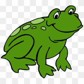Clip Art Of Frog, HD Png Download - frog png
