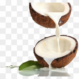 Coconut Milk Pouring From Coconut, HD Png Download - coconut png