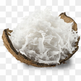 Coconut Design Shell, HD Png Download - coconut png