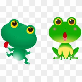 Cat Frog Clipart, HD Png Download - frog png