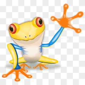 Frogs Birthday, HD Png Download - frog png