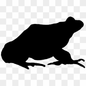 Frog Silhouette Png, Transparent Png - frog png